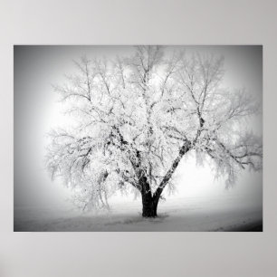 a lone tree on the ND prairie Poster