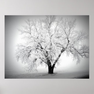 a lone tree on the ND prairie Poster