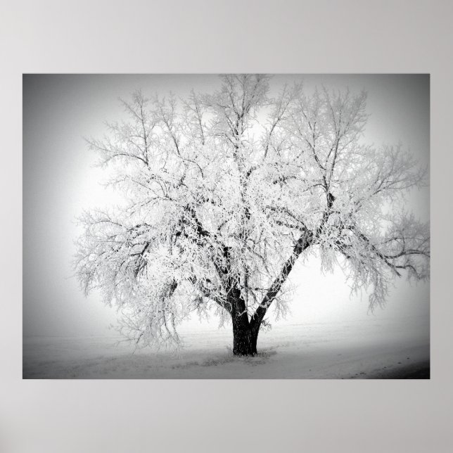 a lone tree on the ND prairie Poster (Front)