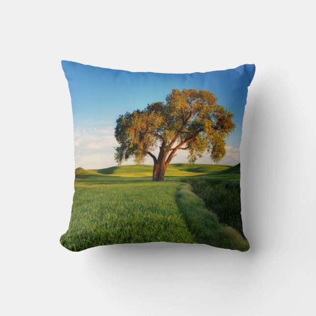 A lone tree surrounded by rolling hills of wheat cushion (Front)
