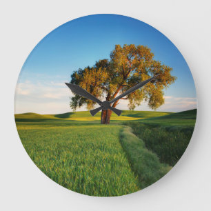 A lone tree surrounded by rolling hills of wheat large clock
