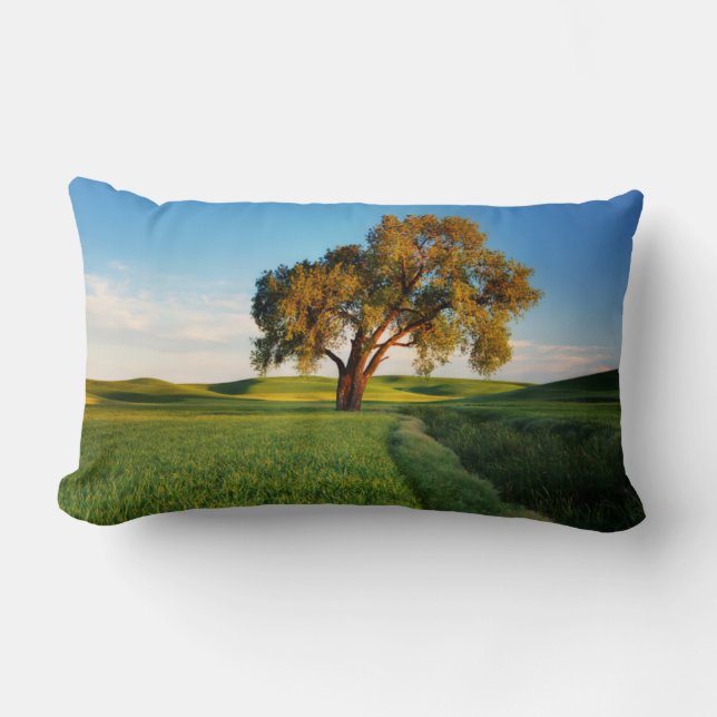 A lone tree surrounded by rolling hills of wheat lumbar cushion (Front)