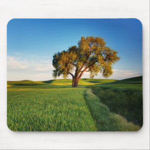 A lone tree surrounded by rolling hills of wheat mouse pad