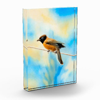A lonely colourful bird photo block