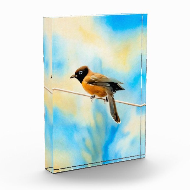 A lonely colourful bird photo block (Left)