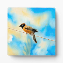 A lonely colourful bird