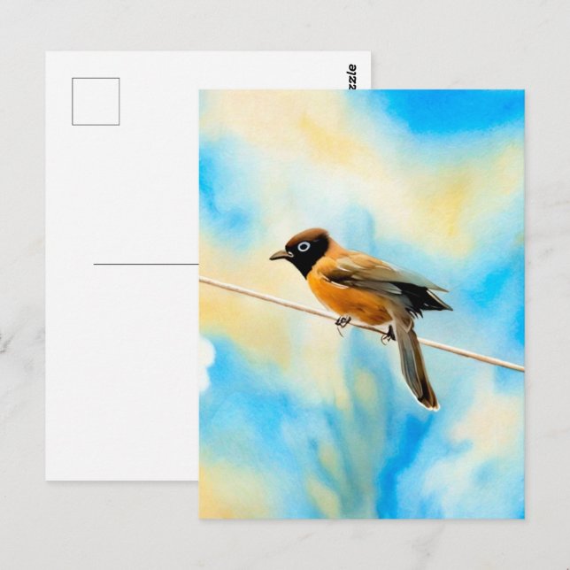 A lonely colourful bird postcard (Front/Back)
