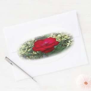 A lonely rose oval sticker