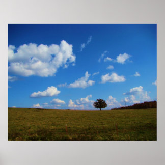 A lonely tree poster