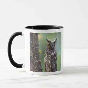 A long-eared owl perched on a tree branch mug