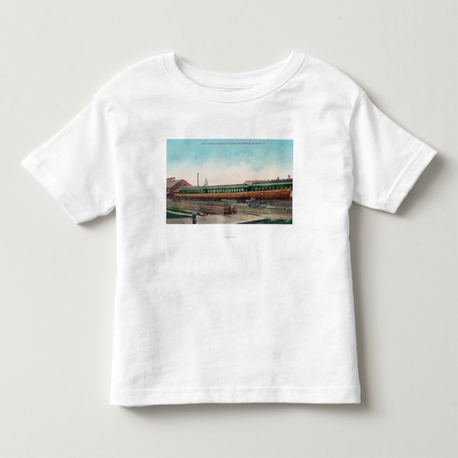 A Long Tree Log on Railroad Tracks Toddler T-Shirt (Front)