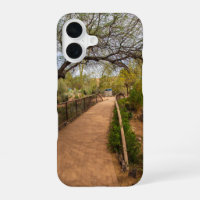 a long winding footpath at Desert Botanical Garden