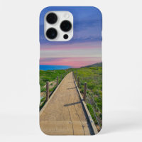 A Long Winding Footpath at Point Dume