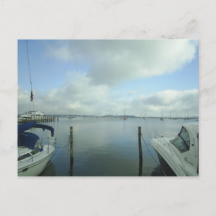 A Look into the Harbour Postcard