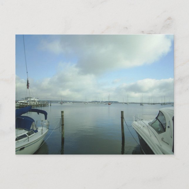 A Look into the Harbour Postcard (Front)