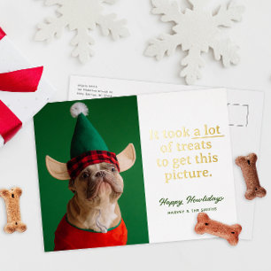 A Lot of Treats Happy Howlidays Funny Pet Foil Holiday Postcard