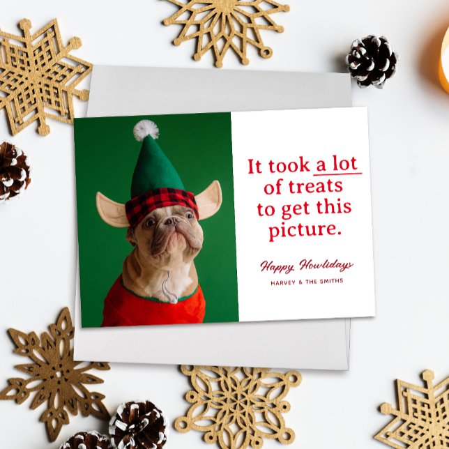 A Lot of Treats Happy Howlidays Funny Pet Holiday Card ("It took a lot of treats to get this picture" funny holiday pet photo card, red text on white)