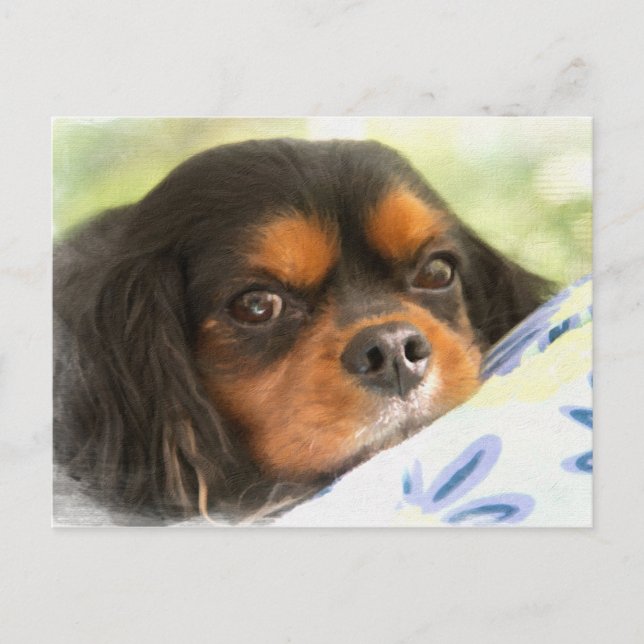A Love Like No Other Cavalier King Charles Spaniel Postcard (Front)