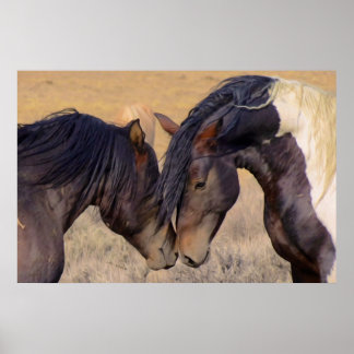 A Love of Horses Poster