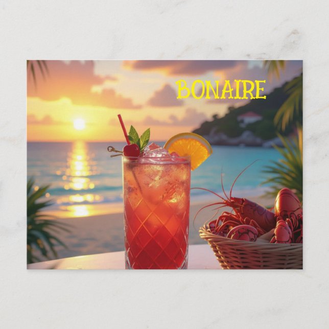 A lovely afternoon in Bonaire Holiday Postcard (Front)