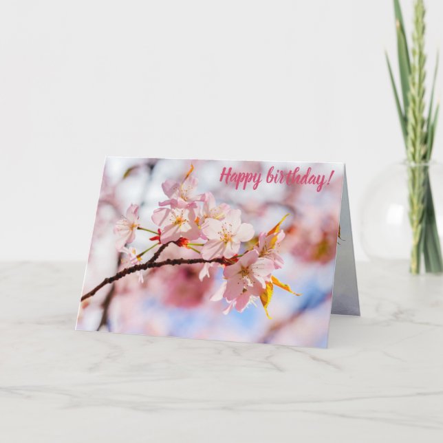 A Lovely Bunch Of Sakura Flowers On Pink Backdrop Card (Front)