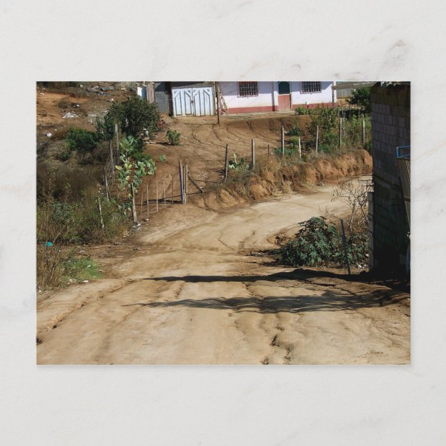 A Lovely Day In The Neighbourhood Postcard (Front)