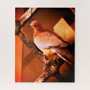 A Lovely Dove   Jigsaw Puzzle