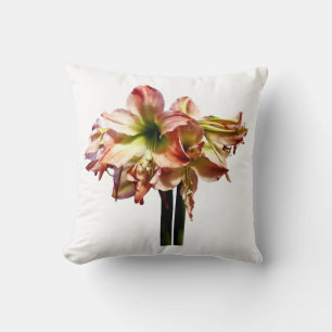 A Lovely Pink and White Amaryllis Cushion