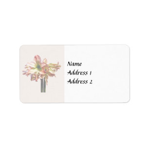 A Lovely Pink and White Amaryllis Wedding Products Label