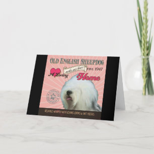 A Loving Old English Sheepdog Makes Our House Holiday Card