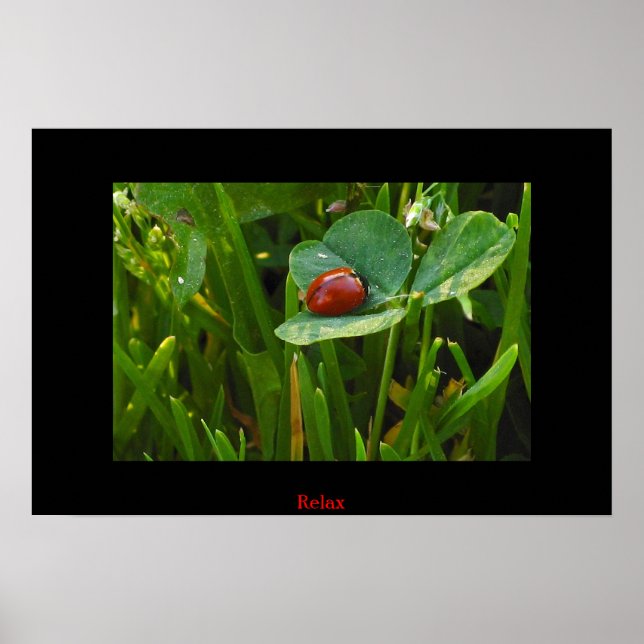 A Lucky St. Patricks Day Poster (Front)