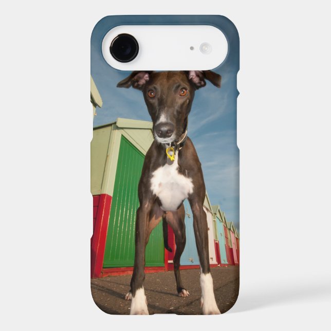 A Lurcher Standing In Front Of Some Beach Huts Case-Mate iPhone Case (Back)