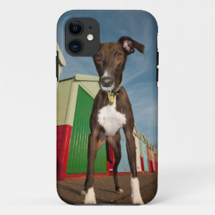 A Lurcher Standing In Front Of Some Beach Huts iPhone 11 Case