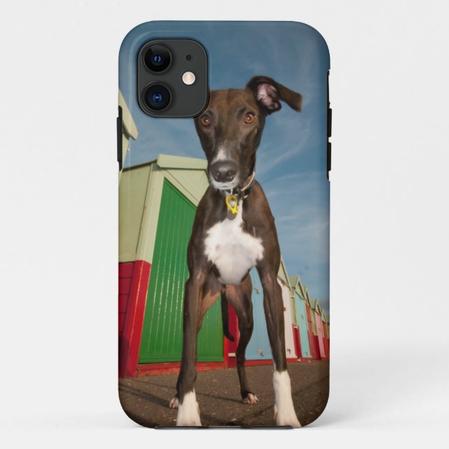 A Lurcher Standing In Front Of Some Beach Huts Case-Mate iPhone Case (Back)