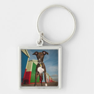 A Lurcher Standing In Front Of Some Beach Huts Key Ring
