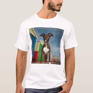 A Lurcher Standing In Front Of Some Beach Huts T-Shirt