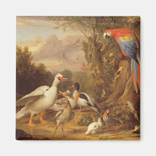 A Macaw, Ducks, Parrots and Other Birds in a Lands Magnet