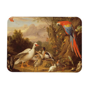 A Macaw, Ducks, Parrots and Other Birds in a Lands Magnet