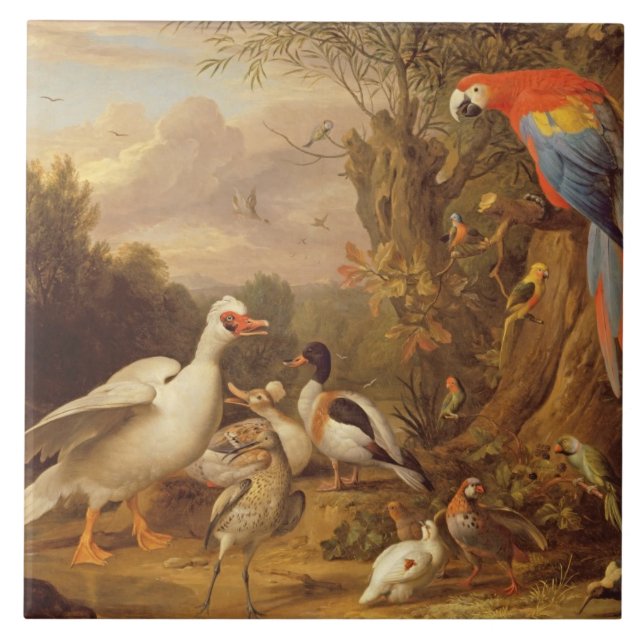 A Macaw, Ducks, Parrots and Other Birds in a Lands Tile (Front)