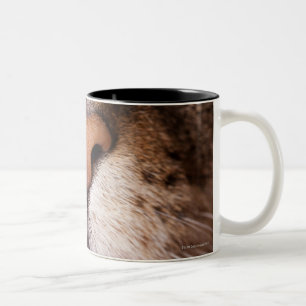 A macro image of a cat's nose and mouth. Two-Tone coffee mug