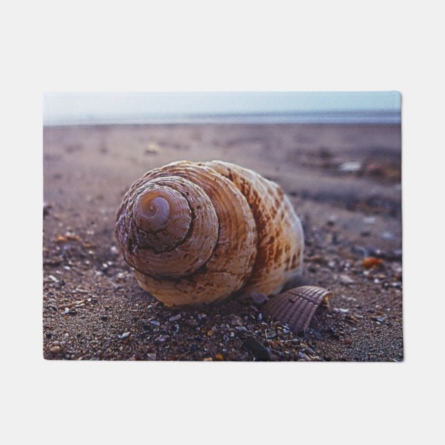 A Macro View Of A Spiral Shell Doormat (Front)