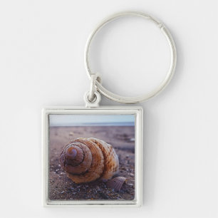 A Macro View Of A Spiral Shell Key Ring