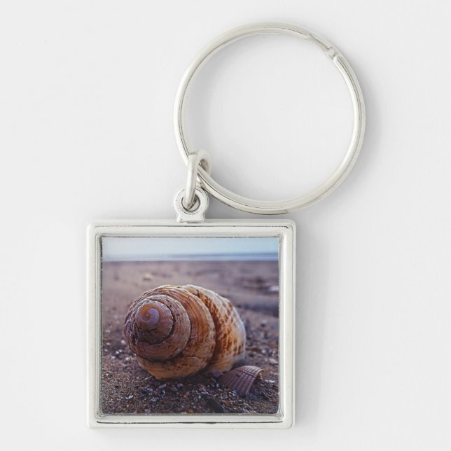 A Macro View Of A Spiral Shell Key Ring (Front)