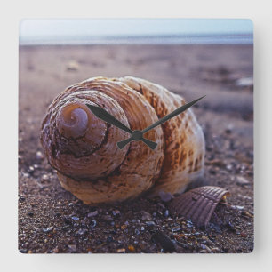 A Macro View Of A Spiral Shell Square Wall Clock
