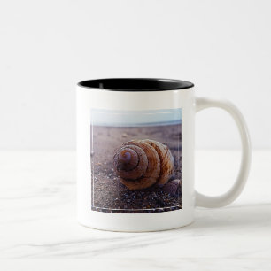 A Macro View Of A Spiral Shell Two-Tone Coffee Mug