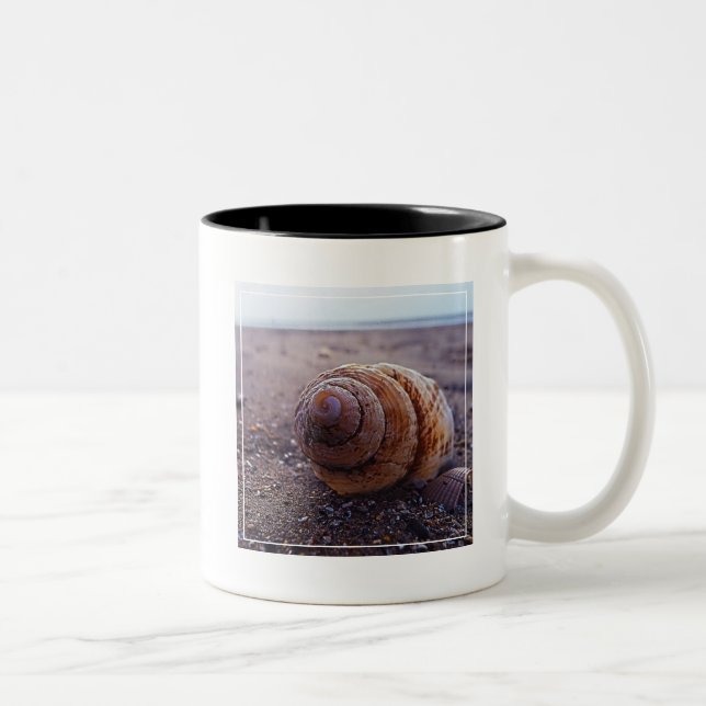 A Macro View Of A Spiral Shell Two-Tone Coffee Mug (Right)