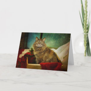 A Magical Christmas Holiday Card