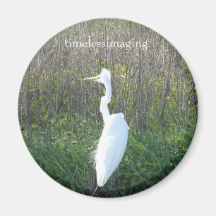 A magnet Round, A photo of a white Crane. 