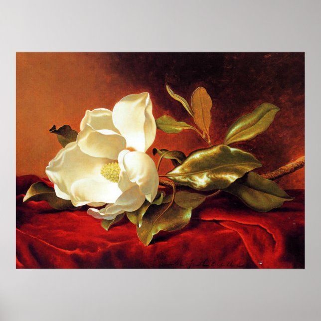 A Magnolia on Red Velvet Poster (Front)