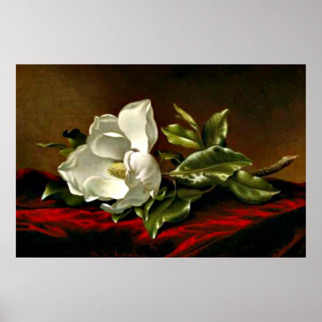 A Magnolia on Red Velvet Poster (Front)